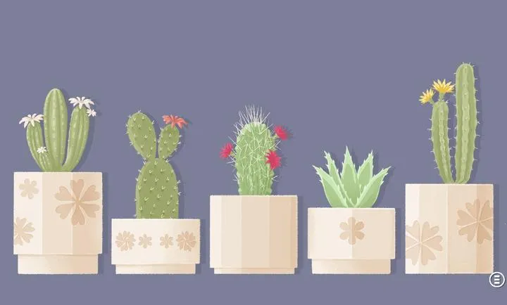 ����һ�㣺������2026���ذ�װv3.5.81 �ֻ����ͼ