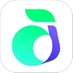 ��ɭ�������