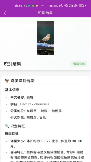 ʶ��׿���ֻ���v1.1.0 �ٷ������ͼ