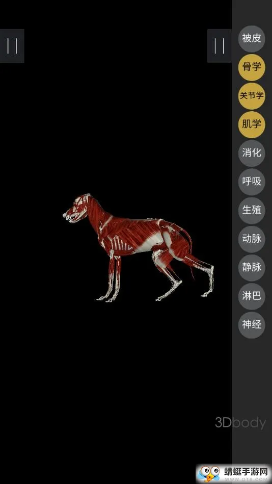 3dbody����app�������v8.8.72 ��׿���ͼ