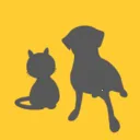 3dbody����app�������