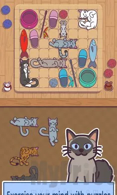 密米尔2026最新版本 密米尔2026最新版本