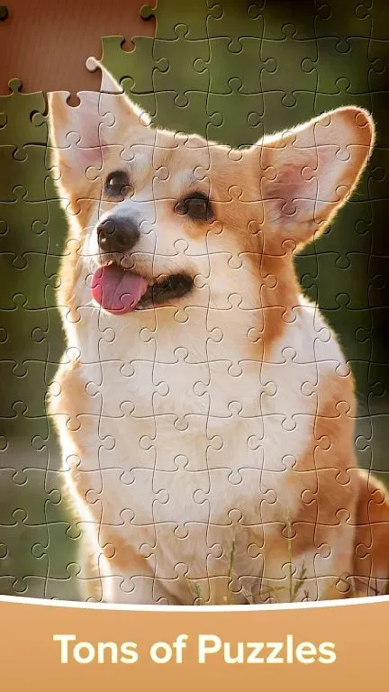 ƴͼ��Ϸ�󴳹�2026���ذ�װv4.4.16 �ֻ����ͼ