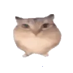 �ͰͲ�һ2026�ٷ�����