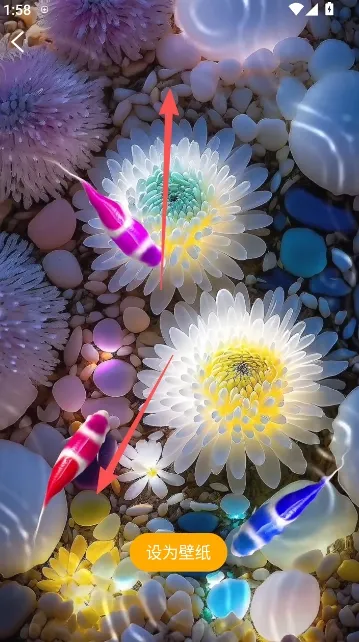 锦鲤金鱼壁纸(壁纸软件功能全) 锦鲤金鱼壁纸(壁纸软件功能全)