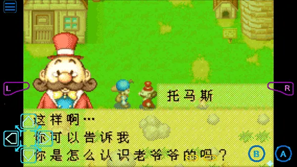 ���������ʯ��Ļ����2013������(������Ӫ��Ϸ)v2.0.0 �ֻ����ͼ