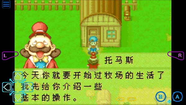 ���������ʯ��Ļ����2013������(������Ӫ��Ϸ)v2.0.0 �ֻ����ͼ