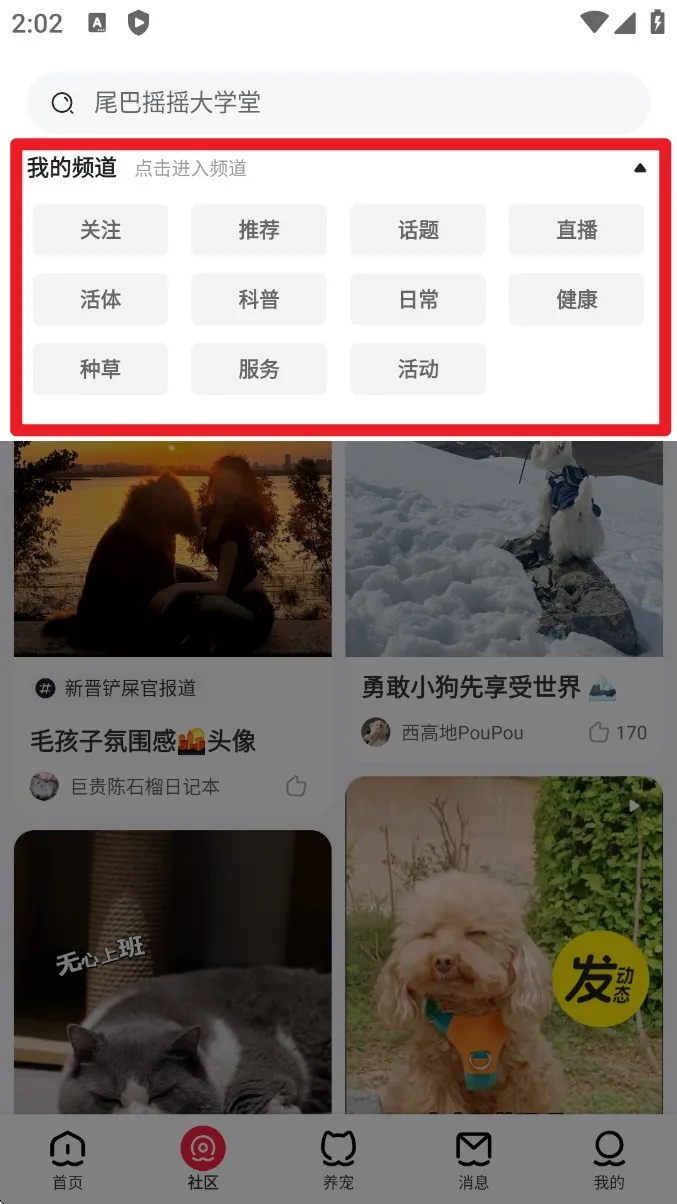 ������(�ǻ�������Ϸ)