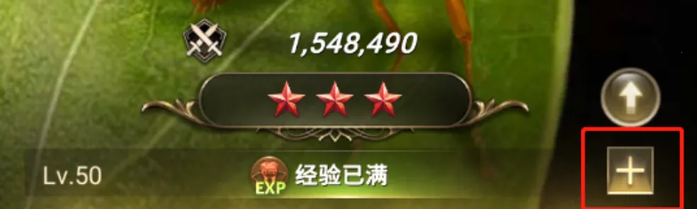 The Ants(СС�Ϲ����ι���)