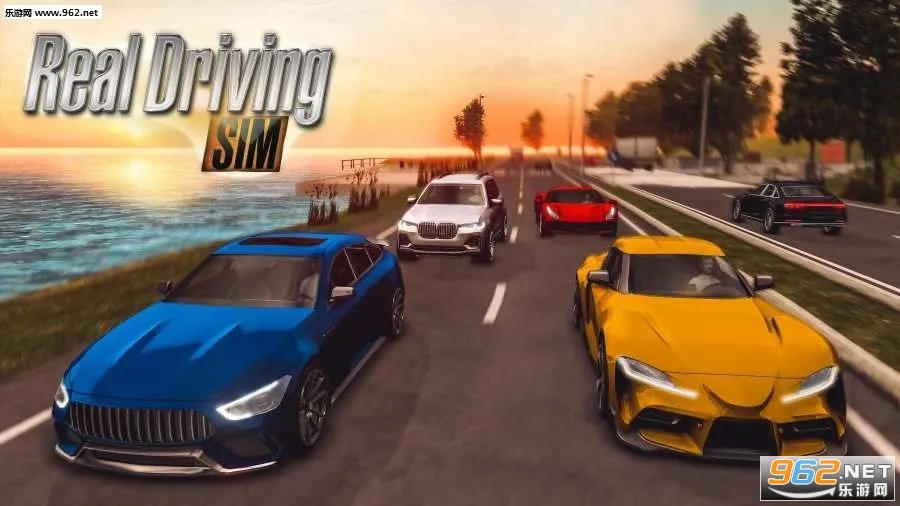 ��ʵ��ʻģ��3Dv2.5 �ٷ������ͼ