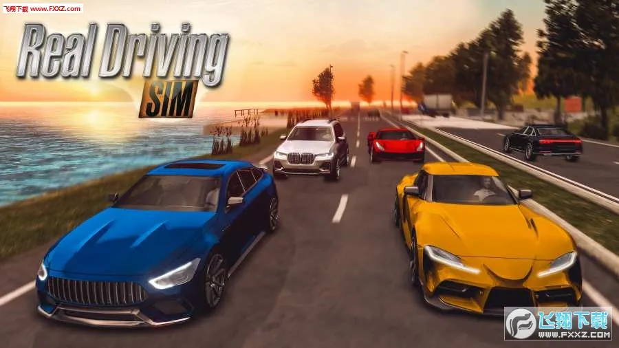 ��ʵ��ʻģ��3Dv2.5 �ٷ������ͼ