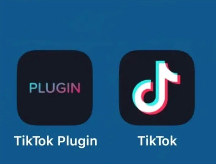 tiktok(����Ƶ��������)