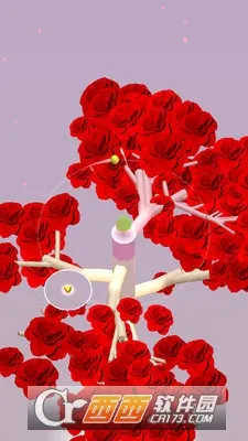 ��ת֮��2026���ذ�װv1.2.0 ��׿���ͼ