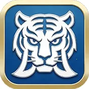 �׻�TV(����ֱ������)