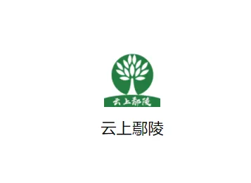 云上鄢陵2026官方最新版本 云上鄢陵2026官方最新版本