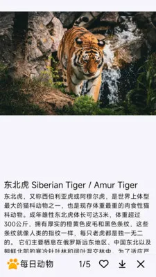 ÿ�ն���(����֪ʶ����)v1.0.0 �ֻ����ͼ