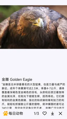ÿ�ն���(����֪ʶ����)v1.0.0 �ֻ����ͼ