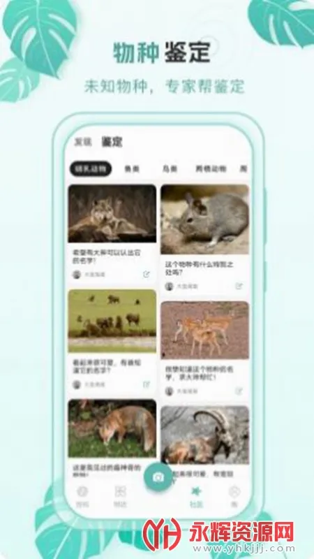 �ٿ�����(���ֿ���ʶ������)v2.0.4 ��׿���ͼ
