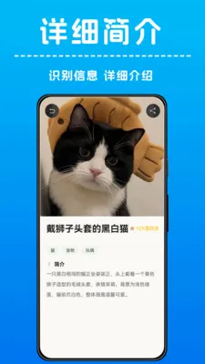 AI����ʶ��(����ʶ��Ӧ��)v1.0.4 �ֻ����ͼ