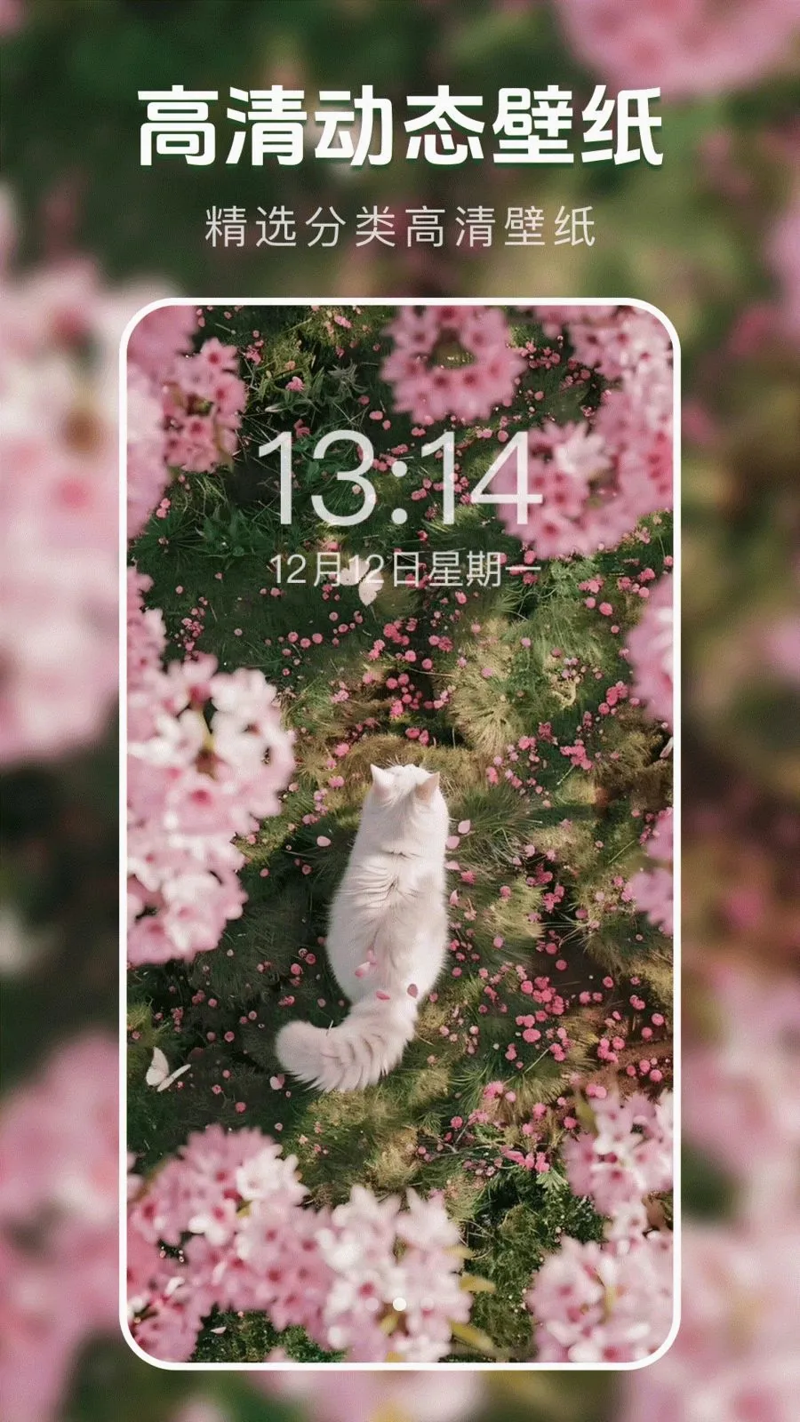 ��̬�����ֽ��2026���°汾v1.0.0 �ֻ����ͼ