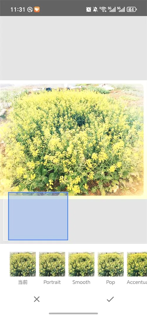 BetterSeed(רҵ��ͼ����)v2.22.0.633363672 ��׿���ͼ