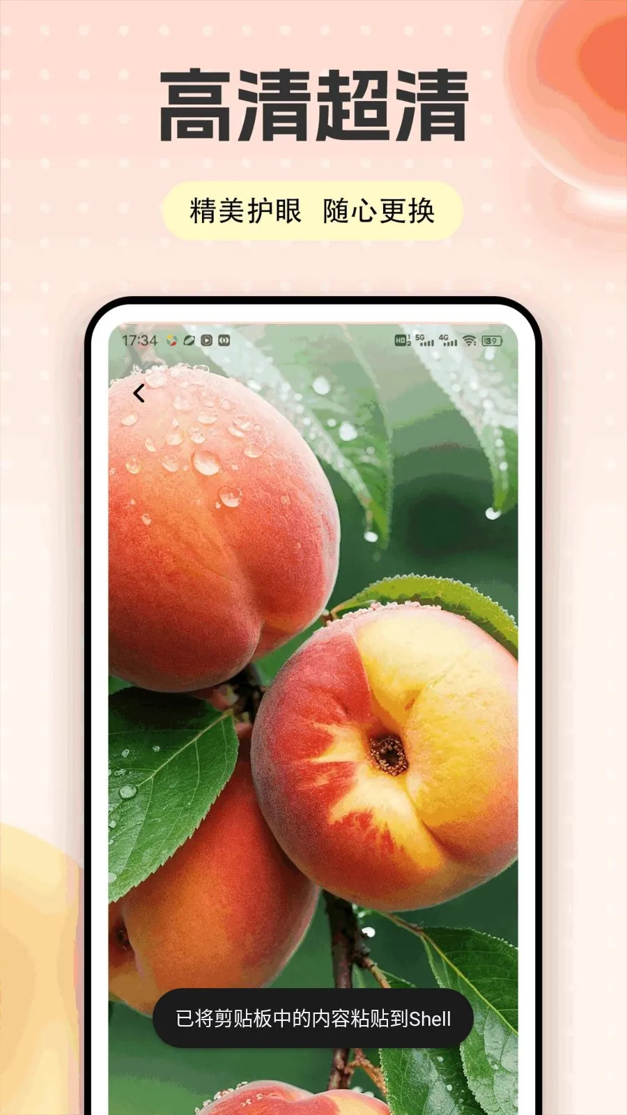 �Ҷ��ƽ̨(�����ƽ̨)v1.0.5 ��Ѱ��ͼ