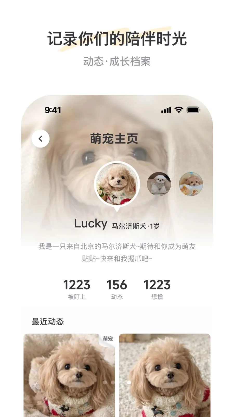 PetSpace(�ȳ��罻ƽ̨)v2.1.0 �ٷ������ͼ