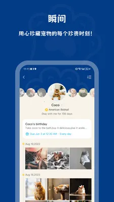 PawView�����ֻ���v1.2.0 ��׿���ͼ