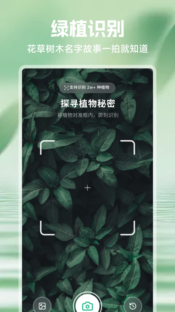 ���⻨(ֲ������APP)v1.1 �ֻ����ͼ
