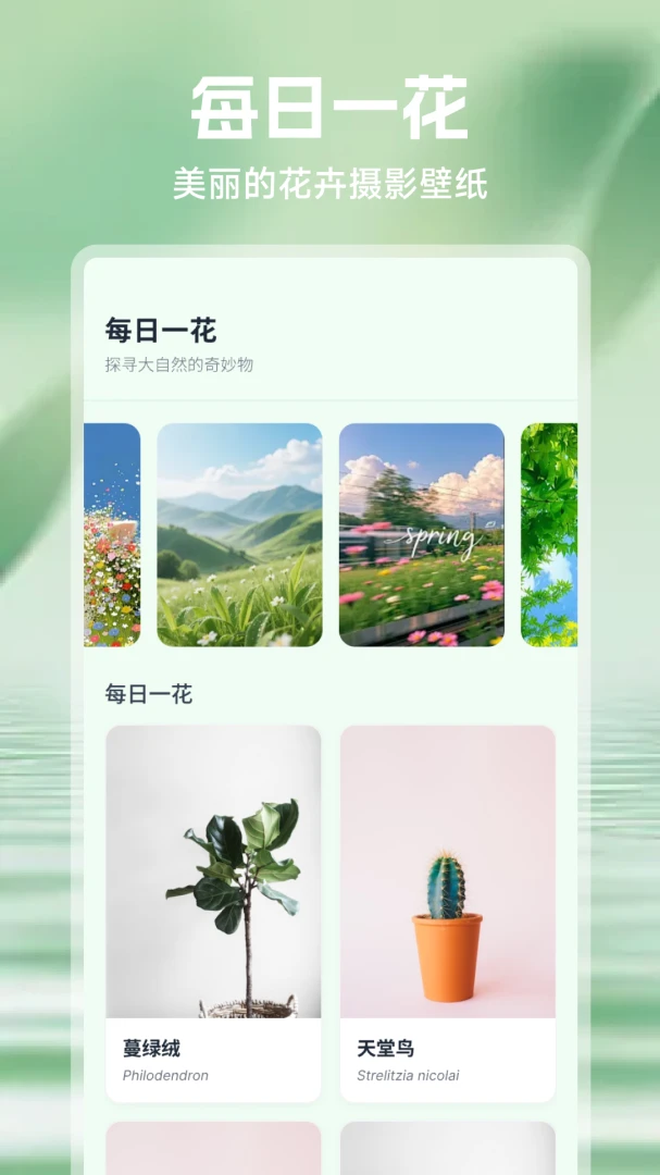 ���⻨(ֲ������APP)v1.1 �ֻ����ͼ