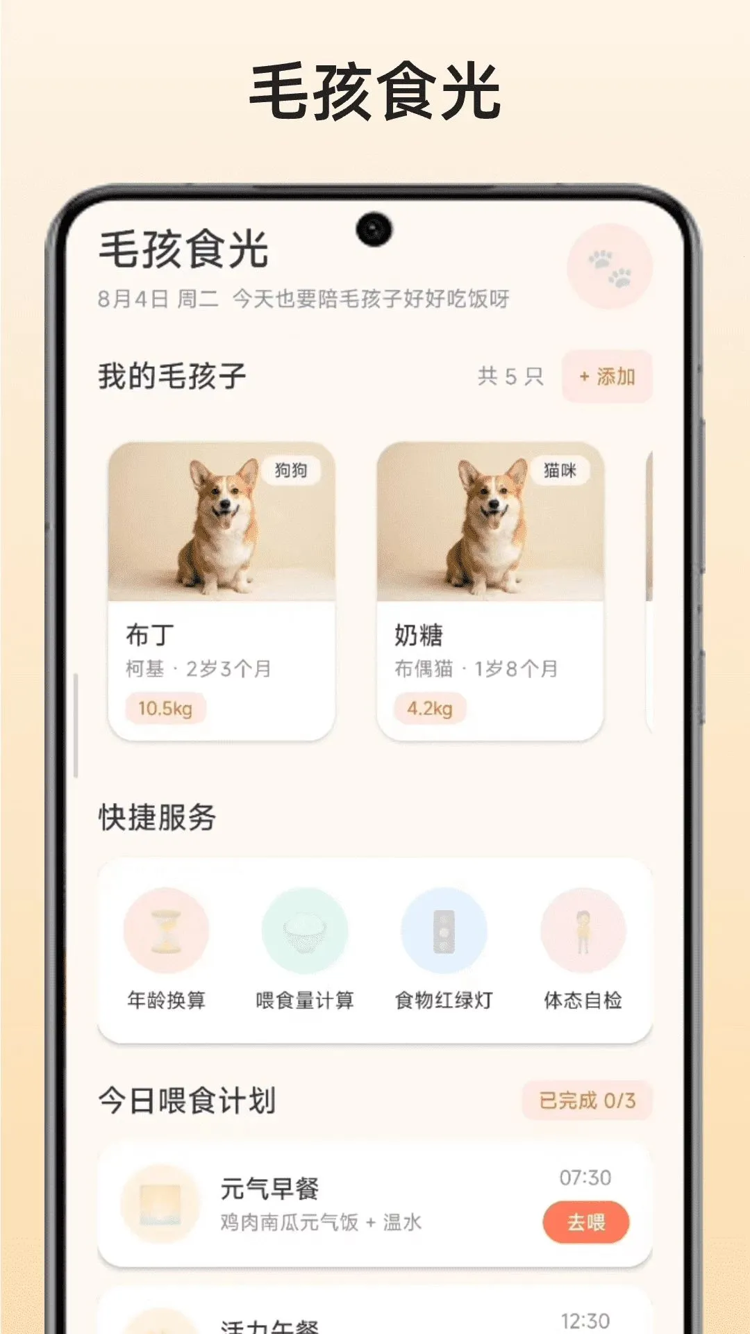 ë��ʳ��2026�ٷ����°汾v1.0.1 �ٷ������ͼ