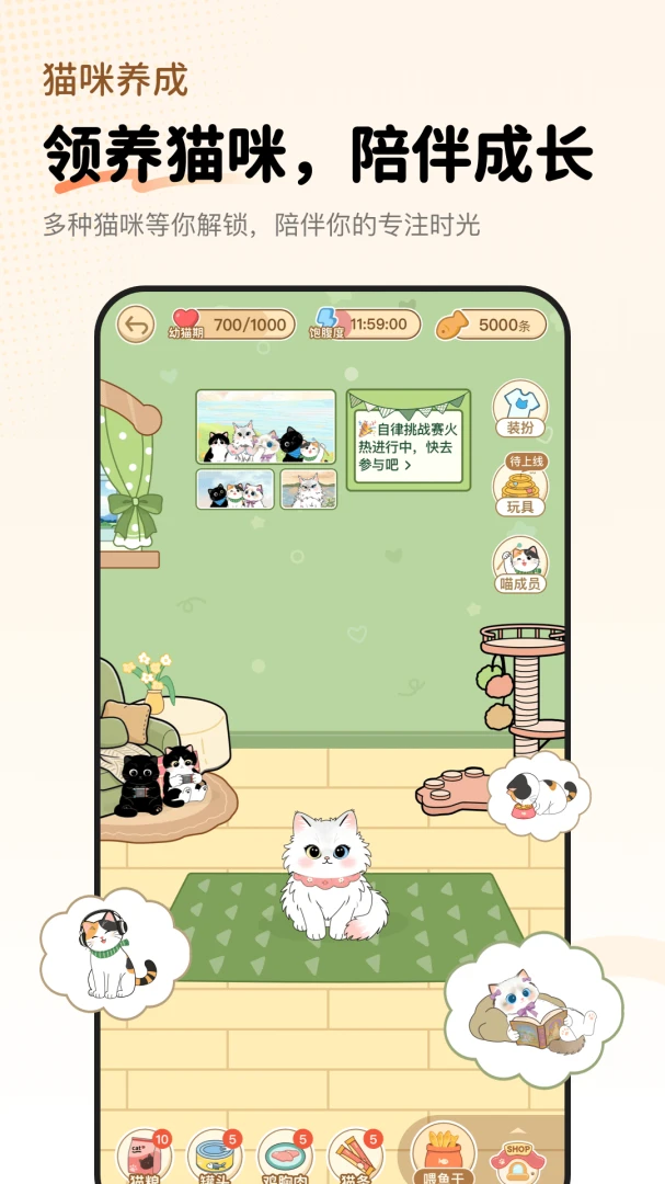 Focat�����ֻ���
