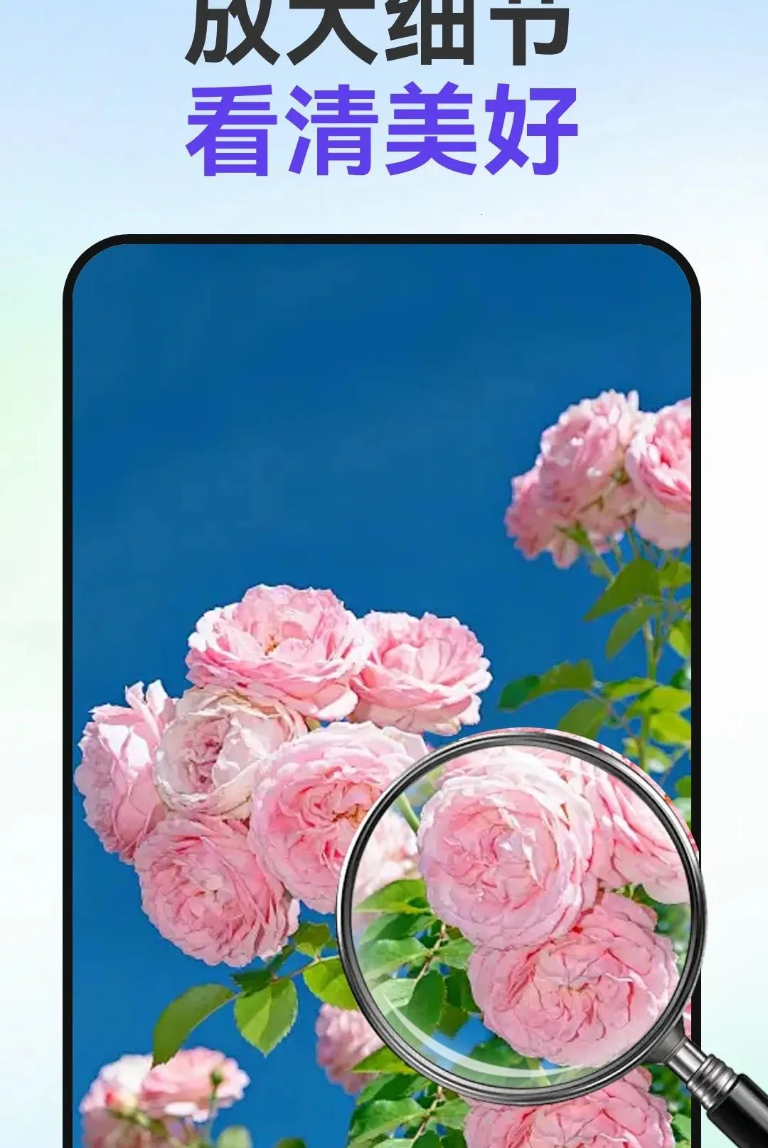 С�ַŴ�(����Ŵ󹤾�)v1.0.1 �ٷ������ͼ