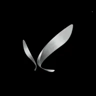 Synrise(��֫����Ӧ��)