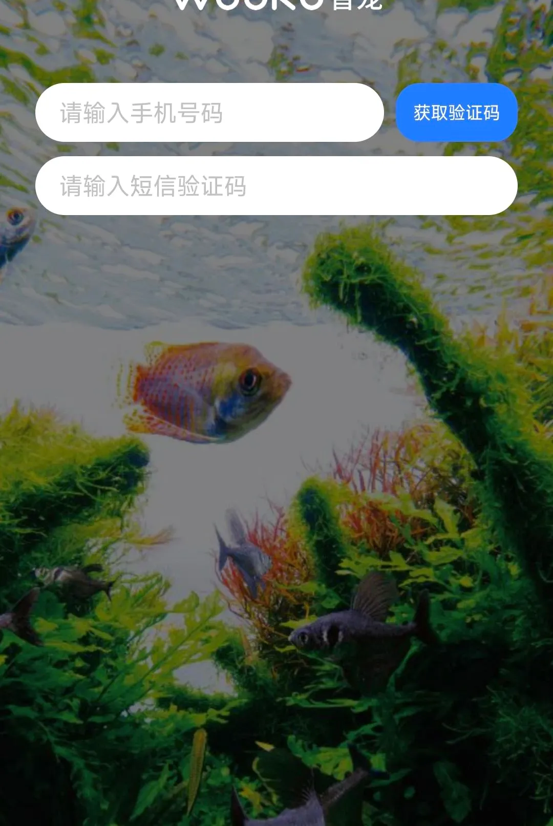 WOOKU�ǳ�2026�ٷ����°汾v1.0.29 �ֻ����ͼ