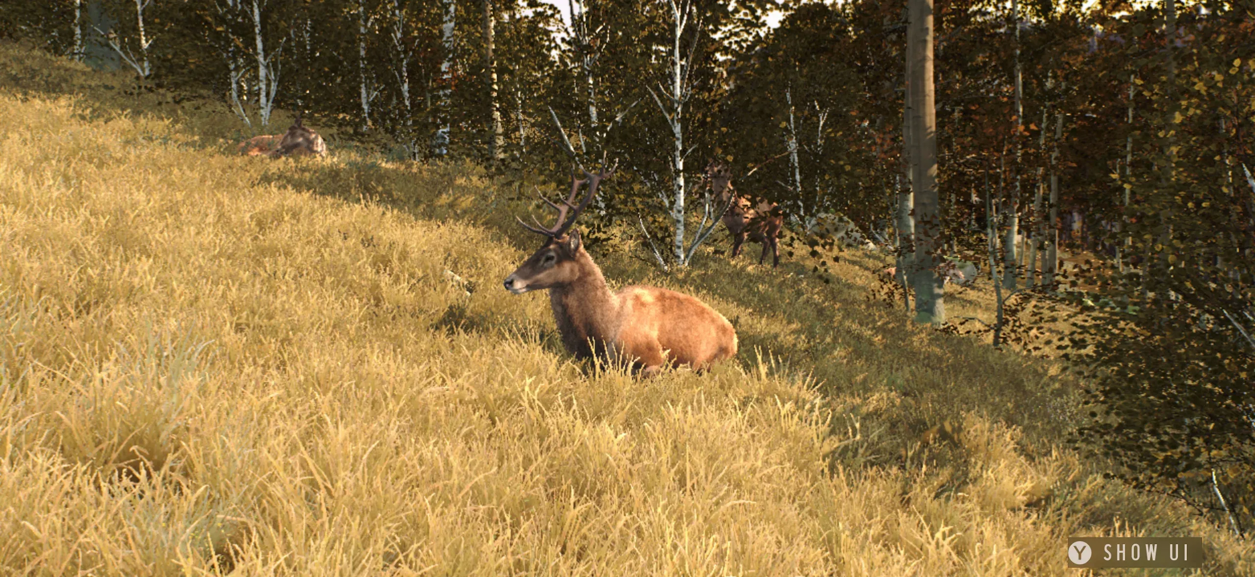 ����֮·��Ұŷ����Ϸ(����ð����Ϸ)v1.0.12 �ֻ����ͼ