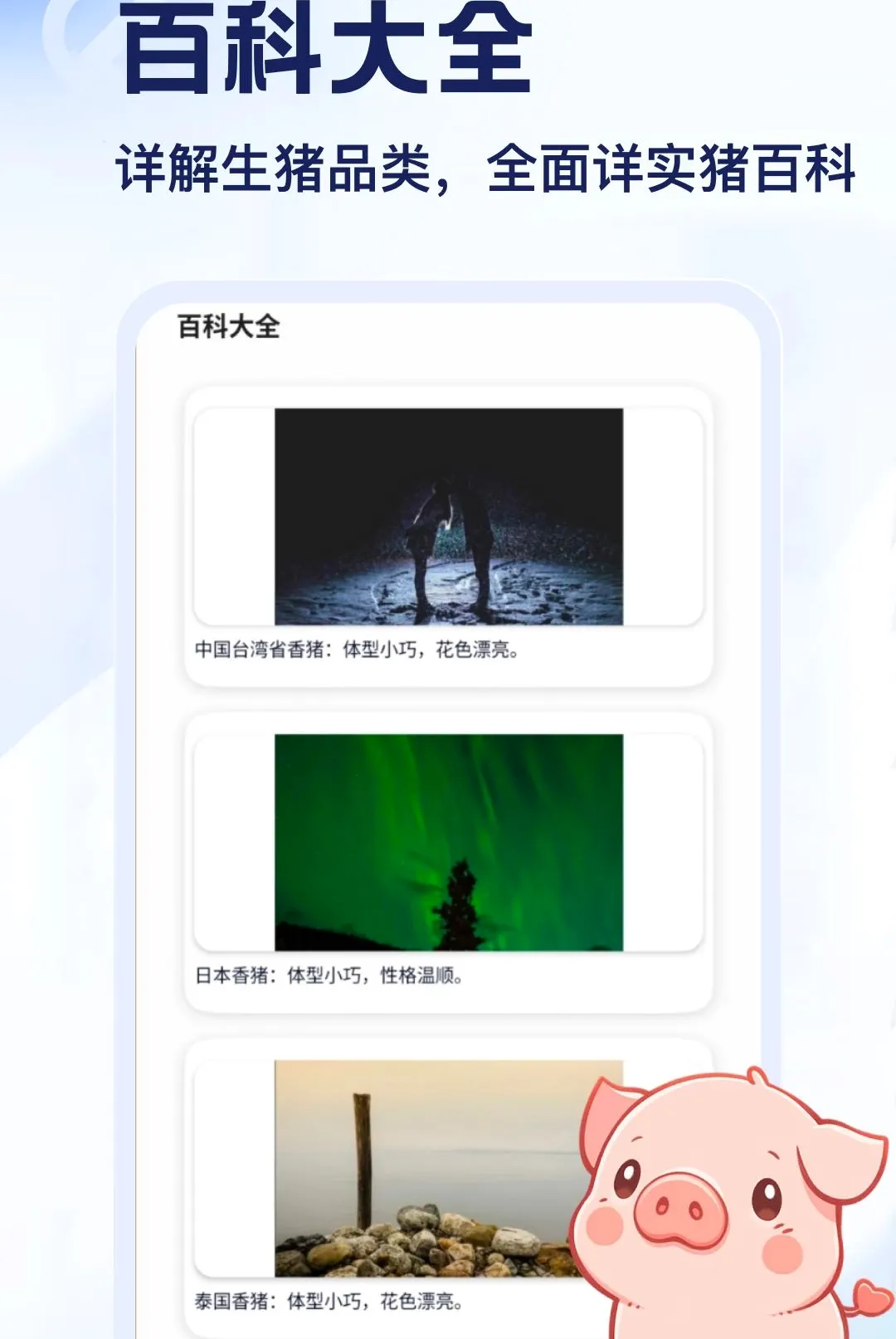 ����APP�����ֻ���v5.2 ��׿���ͼ